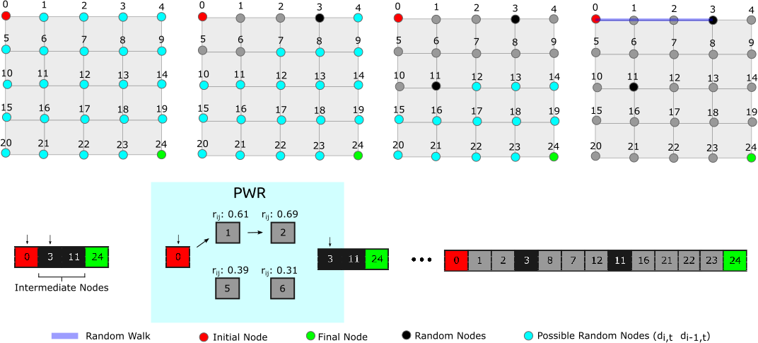 Rnw representation
