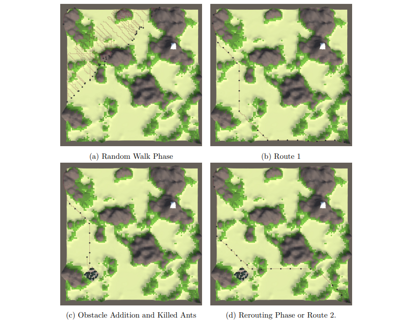 Experiment 01 graph simulation