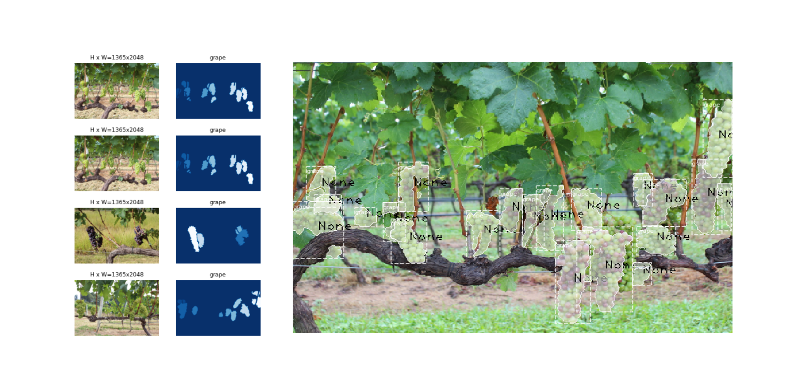 Segmentation and Counting of Grapes Bunches using MaskRCNN + Tracker DeepSort